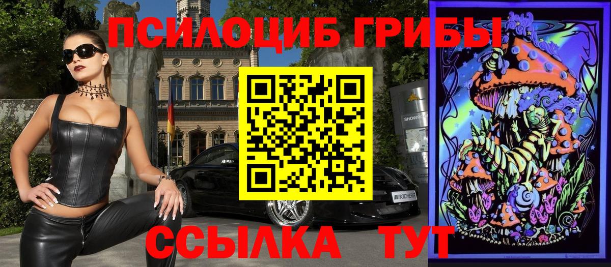 Алатырь  Псилоцибиновые грибы мухоморы  Галлюциногенные грибы Magic Shrooms  Вход с VPN 